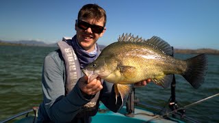 Lake Hume Yellowbelly