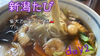 【vlog】#新潟たび#day2#三宝亭#五目うま煮麺#春日山城#柴犬とドライブ旅