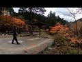 【３６０度vr映像】紅葉の大芦渓谷 2020年11月11日 栃木県鹿沼市