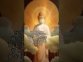 阿彌陀佛 懺悔 阿弥陀佛 buddha art 佛像藝術 amituofo buddhastory 淨空法師 阿彌陀佛聖號 南无观世音菩萨 ommanipadmehum 觀音菩薩