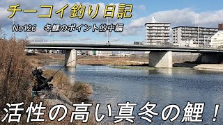 【鯉釣り】活性の高い真冬の鯉はこんな場所にいる。