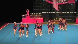 A JAAs3 Ultimate Cheer Thunder Cats