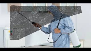 What to expect from office pest control Bristol professionals?