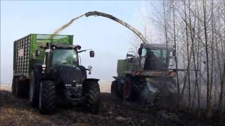 SRC+: Harvest of a Short Rotation Coppice Plantation in Bavaria, Germany