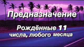 Предназначение. Реализация. Рожденные 11 числа