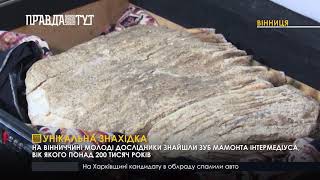 Унікальна знахідка