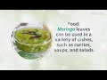 moringa or malunggay our superfood health benefits nutrients u0026 uses health tips