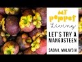 What does Mangosteen Fruit taste like? Cintia tries one in Sabah, Malaysia