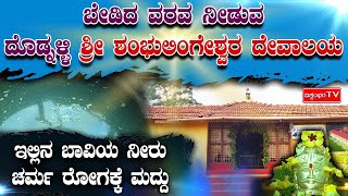 ಬೇಡಿದ ವರವ ನೀಡುವ ದೊಡ್ನಳ್ಳಿ ಶ್ರೀ ಶಂಭುಲಿಂಗೇಶ್ವರ ದೇವಾಲಯ| ಇಲ್ಲಿನ ಬಾವಿಯ ನೀರು ಚರ್ಮ ರೋಗಕ್ಕೆ ಮದ್ದು|