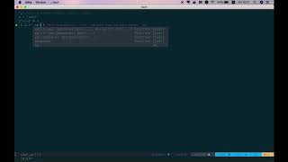 Python REPL In Vim Changed My Life As A Developer (Neovim, Codi, Virtual Text)