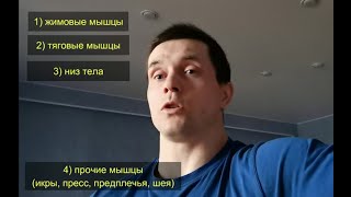 Как часто качать мышечные группы? Полный разбор