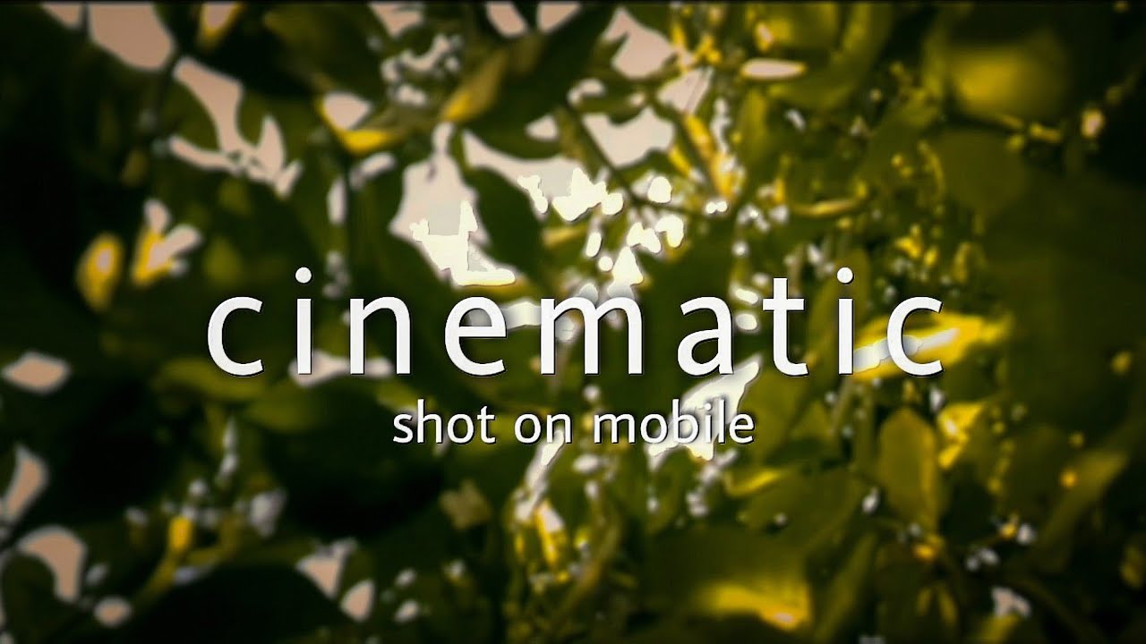 Nature Cinematic B-roll | Mobile Videography - YouTube