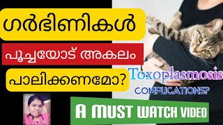 ഗർഭിണികൾ പൂച്ചയിൽ നിന്നും അകലം പാലിക്കേണ്ടതിന്റെ ആവശ്യകത എന്ത്? #toxoplasmosis Malayalam