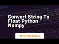 convert string to float python numpy