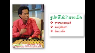 เซียนป่อง สอนหมากรุกไทย หนีไล่ชุดที่ 1 (ม้ามวยเม็ด)