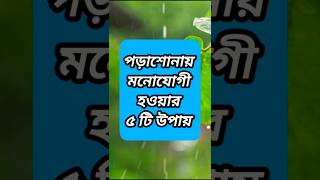 💫 পড়াশোনায় মনোযোগী হওয়ার ৫টি উপায় 💫