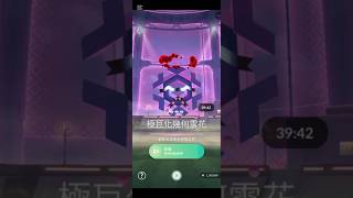 （寶可夢go pokemon go）「極巨化」幾何雪花