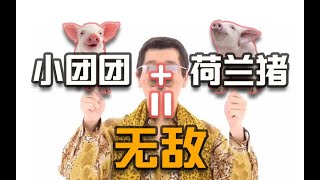 【绝地求生PUBG】一条小团团OvO：团团荷兰猪双排，双猪合毕，天下无敌。队友心态炸裂，直呼不行 | PUBG Gameplay