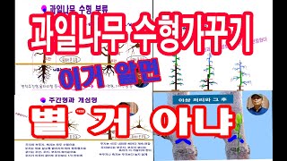 과수 재배에서 과일나무 수형 만들기와 과수 전정. 그리고 순치기  등. 그 전에 이것부터 알고 하시나요? 주간형, 개심형, 변칙주간형, 개심자연형,  등 과수 수형  기본 원리