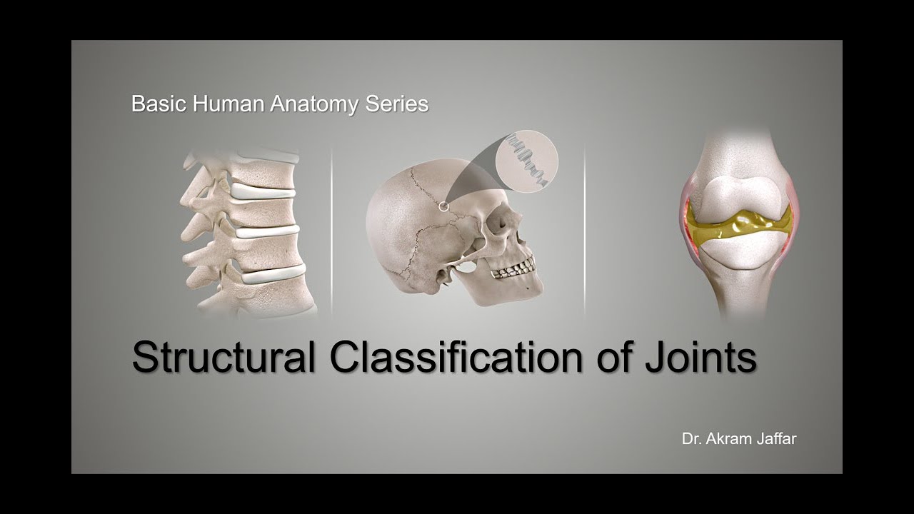 Structural Classification Of Joints - YouTube