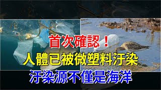 首次確認！人體已被微塑料汙染，汙染源不僅是海洋，[科學探索]