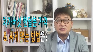 차가버섯 분말 한달분 가격과 효능 살리며 싸게 먹는 방법 알려드립니다  - 오기남차가버섯 질의 응답