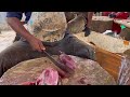 kasimedu 🔥 mr vadivelu 13 kg big red snapper fish cutting video in kasimedu ff cutting 🔪