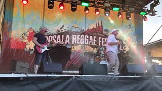 Love Fire 🔥 Natural Way at Uppsala Reggae Festival