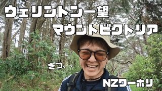 【NZワーホリ】首都ウェリントンを散策！街を一望できる絶景に出会った！