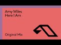 Amy Wiles - Here I Am