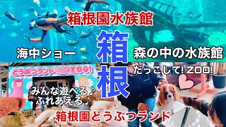 【箱根】箱根園水族館と箱根動物ランド/FAMILY TRAVEL IN HAKONE-EN AQUARIUM AND HAKONE ANIMAL ZOO