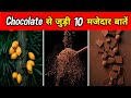 चॉकलेट के बारे में 10 रोचक बातें | Facts About Chocolate In Hindi | 10 Most Amazing Facts | #shorts