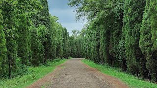 Gopegarh Eco Park || #gopegarh #ecopark #Paschim medinipur #heritage