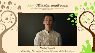 VII. osztály - Mester Balázs