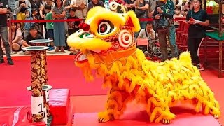 Hong Teck Kedah Acrobatic Lion Dance - 南狮高桩自选套路