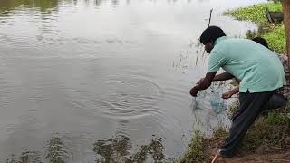 Fishin.... രോഹു  പിടുത്തം കുപ്പി ചൂണ്ടയിൽ