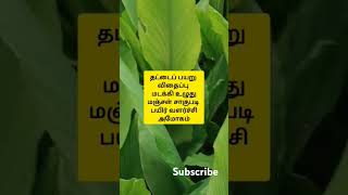 மஞ்சள் சாகுபடி விவசாயிகள் உர  செலவை குறைத்து அதிக மகசூல் பெற இப்படி பண்ணுங்க