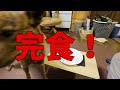 「猟犬と暮らす」week200