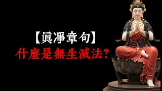 【真凈章句】113：什么是無生滅法？