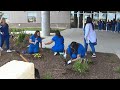 Baptist Health System's newest hospital uses nature to help with healing, combat stress