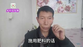 蔬菜育苗用什么土好？肥料用什么？用错了秧苗难长好 #新农人计划2024#助农计划