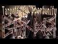 Bárðr - Targets of Opportunity
