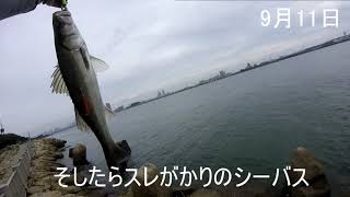 淀川矢倉緑地公園 2021/09/11