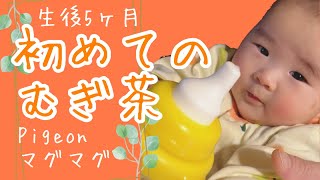 【生後5ヶ月】初めての麦茶　赤ちゃん成長記録