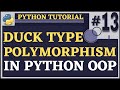 Duck Typing | Python Tutorial for Beginners | Python