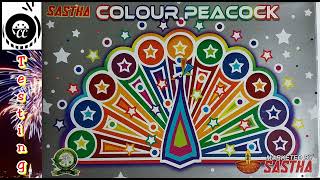 Colour Peacock 5 Feathers Testing Video / Sastha Fire Works Sivakasi / Chennai Crackers / கலர் மயில்