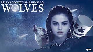 Selena Gomez, Marshmello - Wolves || Selena Gomez Wolves Song || YouTube Shorts || By Hack Q