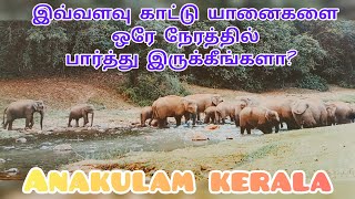 Anakulam | Kerala | The Land Of wild Elephants | idukki | Boom Squad