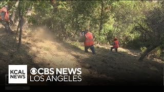 Tips for wildfire prevention firescaping | Wildfire preparedness week