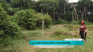 La forêt au développement de Maï-Ndombe grâce à ERA-CONGO